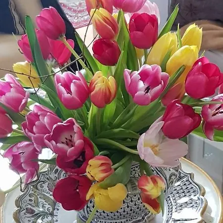 Willa Am Stechlin Neuglobsow