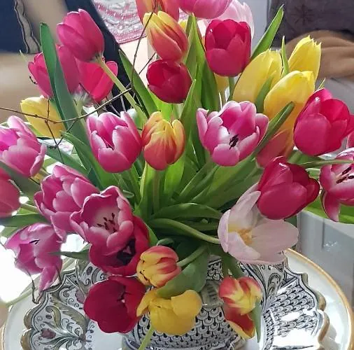 Villa Am Stechlin Neuglobsow